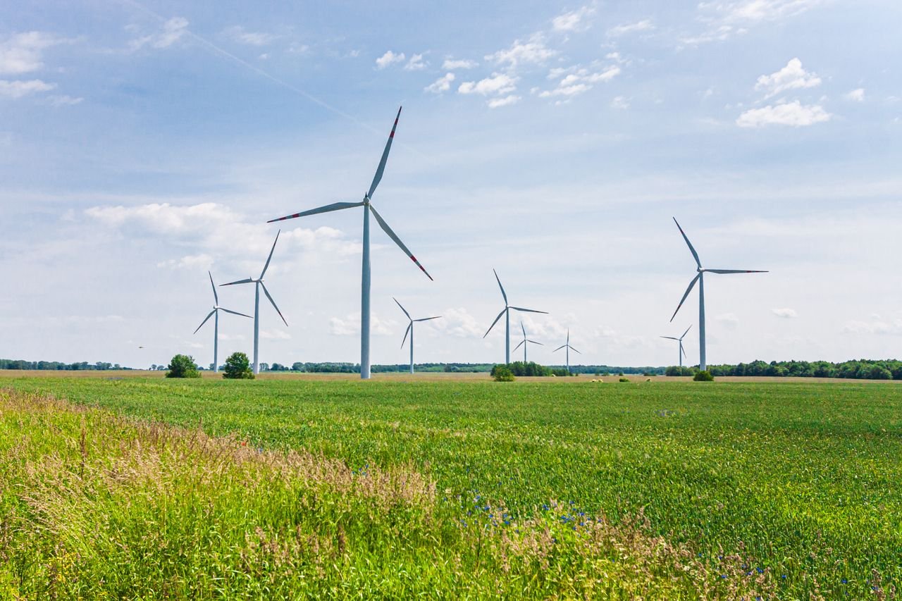 Wind turbines generating clean energy in a lush green landscape under a clear blue sky.